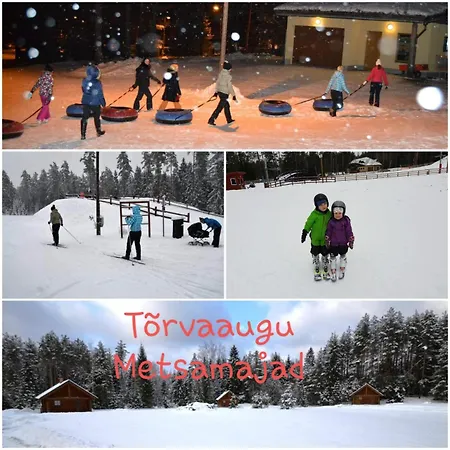 펜션 Torvaaugu Homes