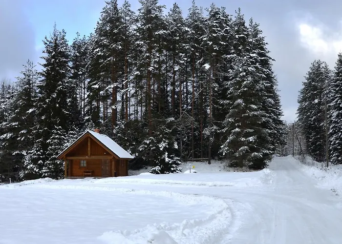 Torvaaugu Homes Holiday home *