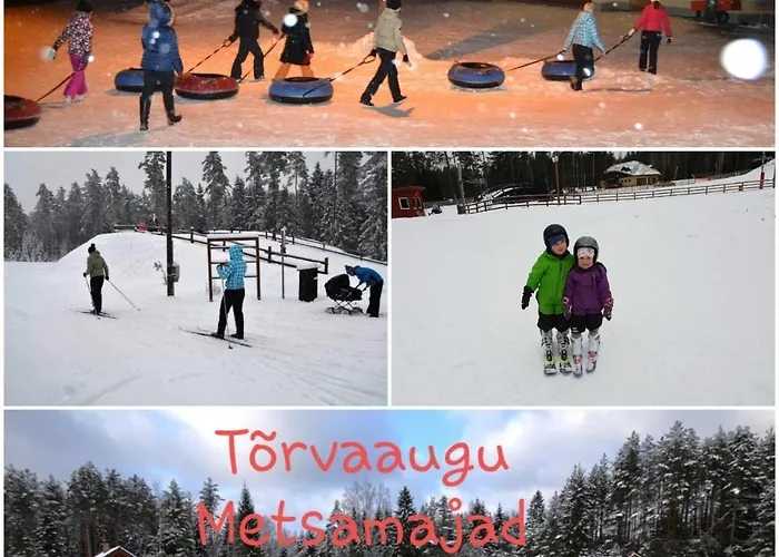 Holiday home Torvaaugu Homes